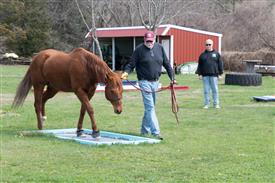 LR-WRF 0402026 Retreat-3363